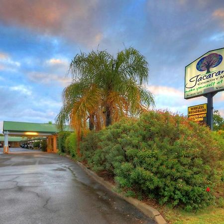 Jacaranda Country Motel St George Buitenkant foto